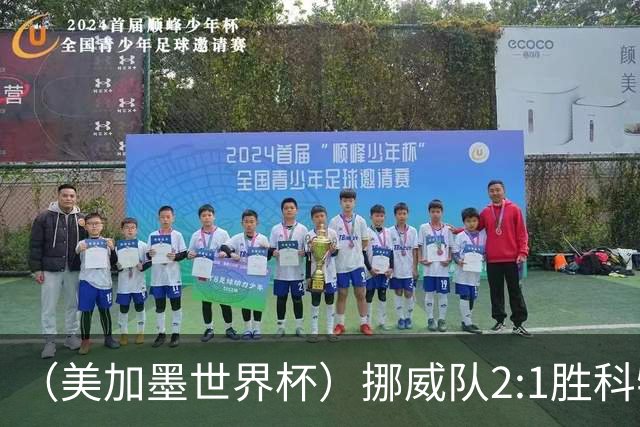 （美加墨世界杯）挪威队2:1胜科特迪瓦队 时隔28年重返16强